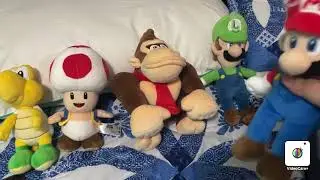 Random adventures: Mario’s new friend