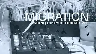 Ambient Eurorack + Digitone || Migration