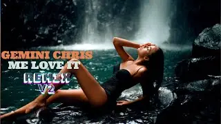 Gemini Chris - Me Love It (Remix V2)