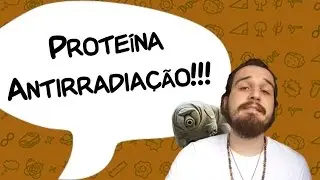 TARDÍGRADOS, COMO SOBREVIVEM NO ESPAÇO? - SlowNews 6