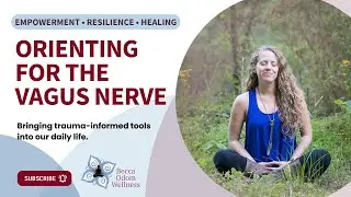 Orienting for the Vagus Nerve