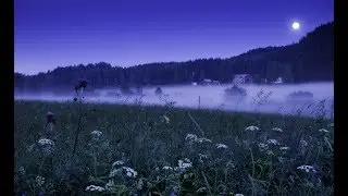 [map] Ghost Town meme