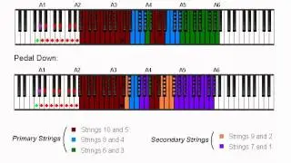 Wavelore Pedal Steel: How the Keyboard is Divided by Position