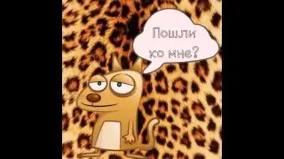 Мастер слайд шоу.