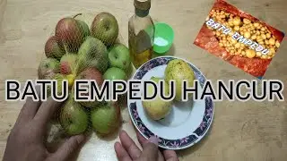 RAMUAN HERBAL PENGHANCUR BATU EMPEDU DENGAN JUS APEL