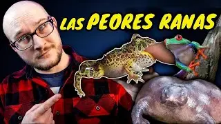 ¡Las 5 Peores Ranas de Mascota y 5 Mejores Opciones Que No Conoces!