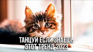 💗Танцуй Если Знаешь Этот Тренд 2023💗