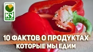 10 ФАКТОВ О ПРОДУКТАХ КОТОРЫЕ МЫ ЕДИМ