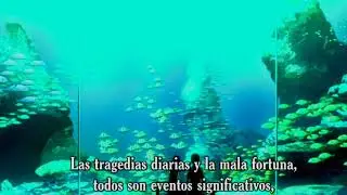 Referencia a Hamlet (anime zetsuen no tempest)