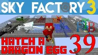 Ep 39 / Hatch a Dragon Egg - Eight Dragons! / Sky Factory 3.0 / FTB / Minecraft / Tutorial