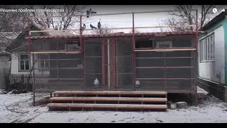 Решение многих проблем голубеводства одним действием