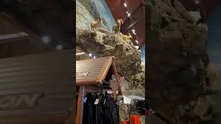 Bass Pro Shop Niagara Falls