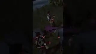 Музыкальный оркестр