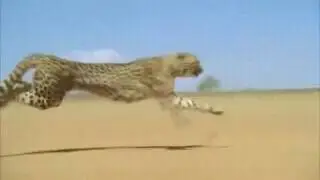 Уииииии