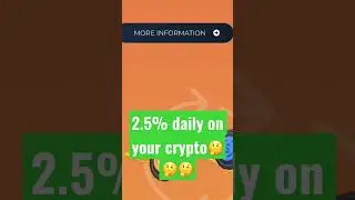 2.5% daily on your crypto, can these risky platforms survive the bear market???🤔
