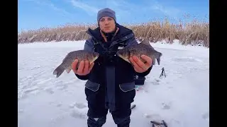 Ловля КРУПНОГО КАРАСЯ зимой в диких местах. Карась со льда