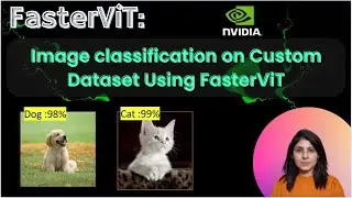 Image classification on Custom Dataset Using FasterViT