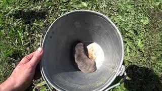 ПОЙМАЛИ - ЗЛО! БУХАЛИ  ВСЕЙ ДЕРЕВНЕЙ!