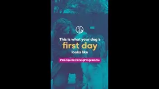 What yout dog's ✨First Training Day✨ like 🙋‍♀️ with #MimiRoyvon