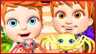 Aquela Aranha  | Momo Cartoon School Teather Português