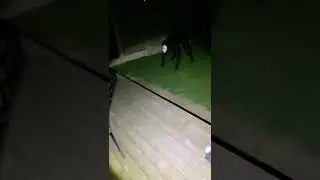 Song is Cbat btw! 