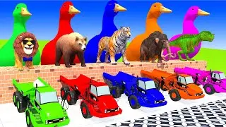 5 Giant Duck Paint Animal Cartoon Tiger, Hippo, Sheep, Lion, Chicken Fountain Crossing - Funny
