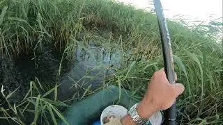 Мелочей быть не должно. Чем это закончилось в коротком видео.