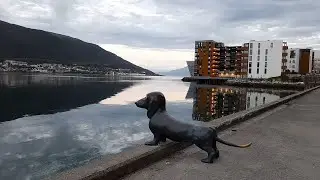 Tromsø Dachshund Statue #norway #dachshund #dachshunddog #dogs #statue #tromsø  #dogstatus