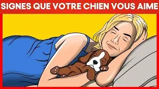 14 signes que votre Chien vous aime vraiment | Incroyablement Top