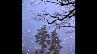 Winter Mood