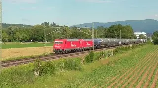 Rheintalbahn : Züge Nachmittags in Teningen - Juni 2024