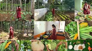 நம்ம புது காய்கறி தோட்டம் எப்படி இருக்க பாருங்க🌱Vegetables Harvesting and cooking Healthy lunch menu