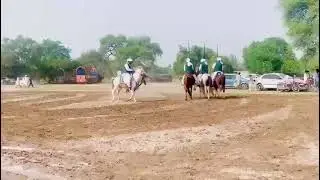 horse riding status| horse videos 🐎#horseriding #youtubeshorts #horse