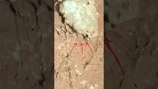 Mars Rover Perseverance SOL 1243 (2) | quicksolutions-data