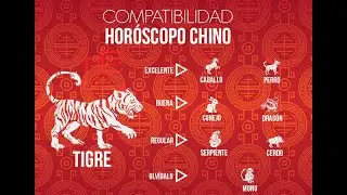 Zodiaco Chino  características elemento y consejo para este 2022
