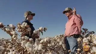The Journey to Regenerative Cotton & Onions with James Johnson, Carzalia Valley Produce Inc.