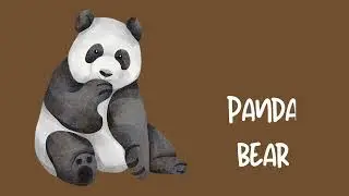 Learn About Bears - For Kids