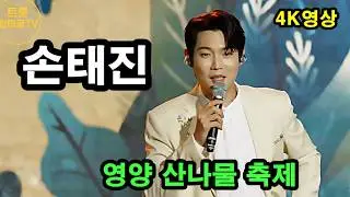 #손태진  영양 산나물축제 4K full 영상  #트롯한마당TV,#트롯트, #미스트롯,#미스터트롯,#trot, #현역가왕,#천지인영상,#무명전설,숏폼,