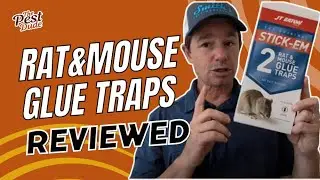 JT Eaton Stick-Em Rat/Mouse Glue Trap: An Exterminator's Honest Review
