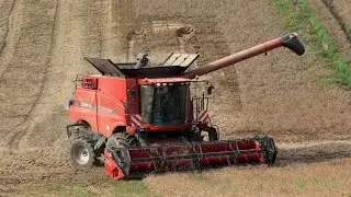 Żniwa i uprawy pożniwne 2014 w Świętokrzyskiem- Case Axial Flow 5130