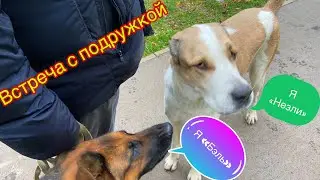Цены в магазине. Распаковка.