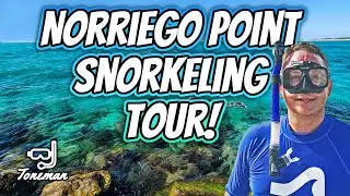 Destin Norriego Point Post Restoration Snorkeling Tour!