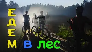 Night ride through the forest. Bike ride through the forest at night🌲 /06/18/2021/