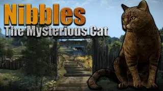 Witcher 3 Nibbles The Cat - The Mysterious Cat
