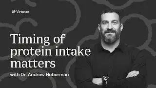 The Timing of Protein Matters! Dr. Andrew Huberman #animated
