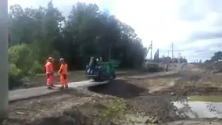 Белоконь
