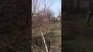 Продаём дачу