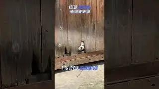 уууу..... что за милота, вот такие мы милые мужчины когда скучаем ))))
