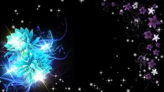 New video effect 2021 | light effect video (Wd Wedding Effects)