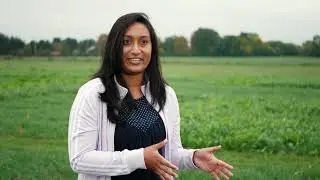 Biostrip Research Across Ontario